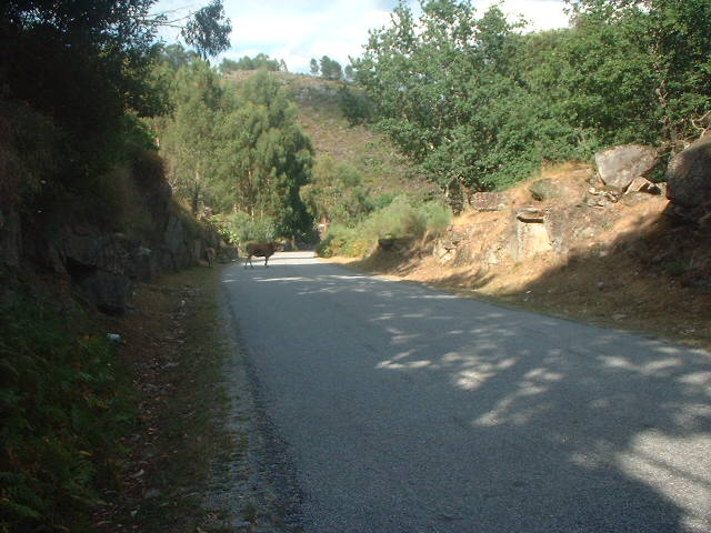 Lindoso barragema, photo 4
