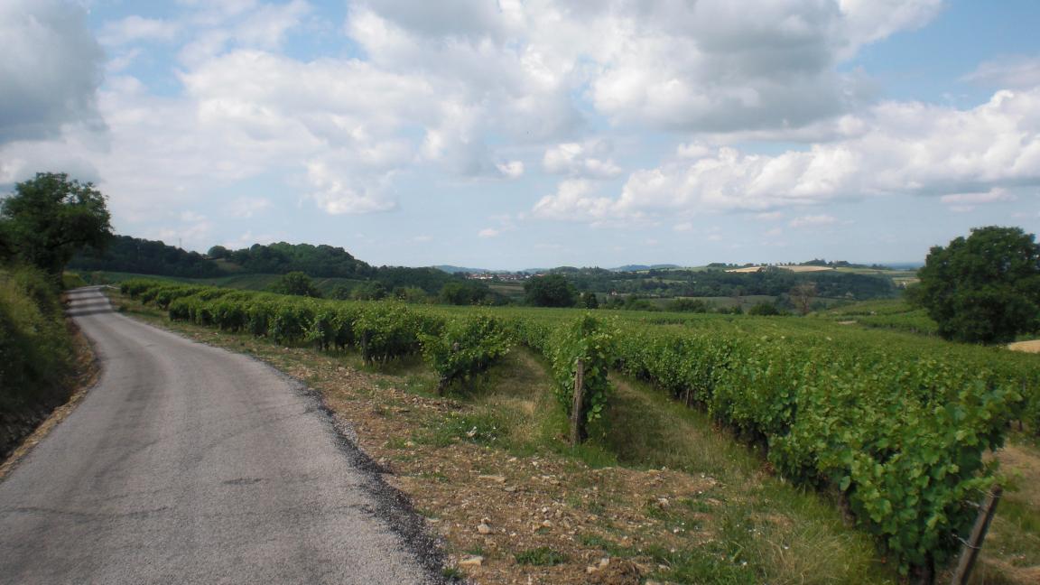 Paisage presso Pupillin, Arbois, Jura, Francia