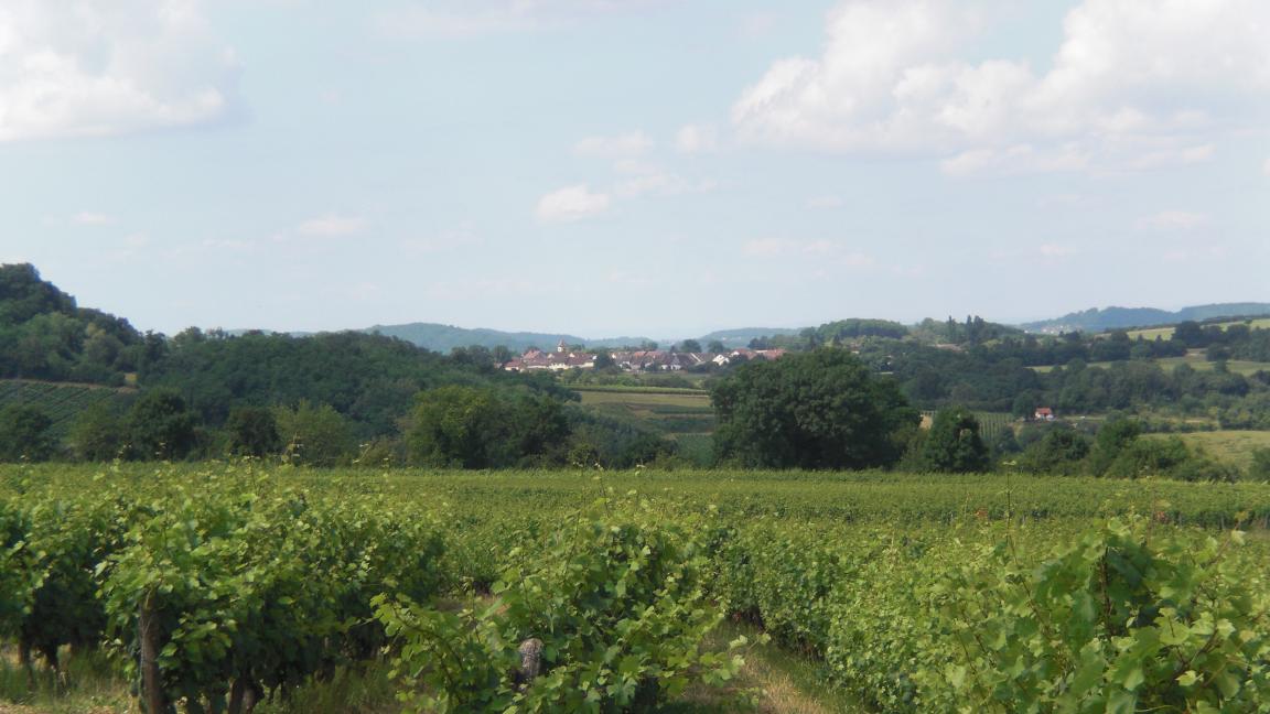 Paisage presso Pupillin, Arbois, Jura, Francia