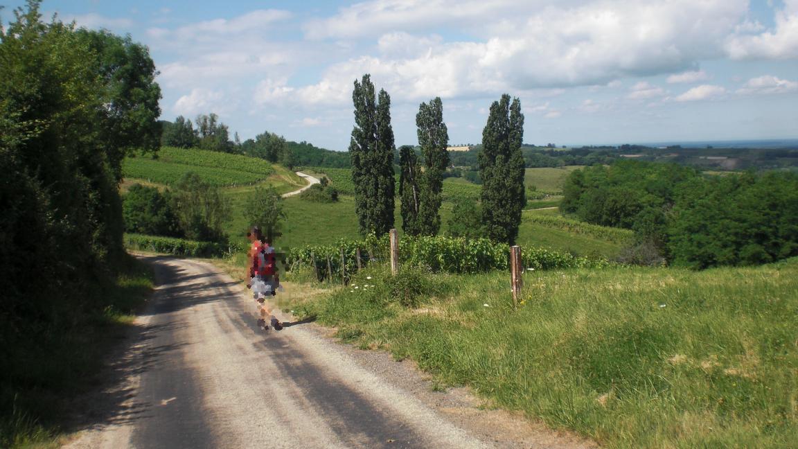 Paisage presso Pupillin, Arbois, Jura, Francia
