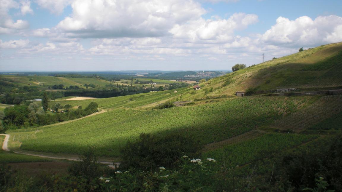Paisage presso Pupillin, Arbois, Jura, Francia