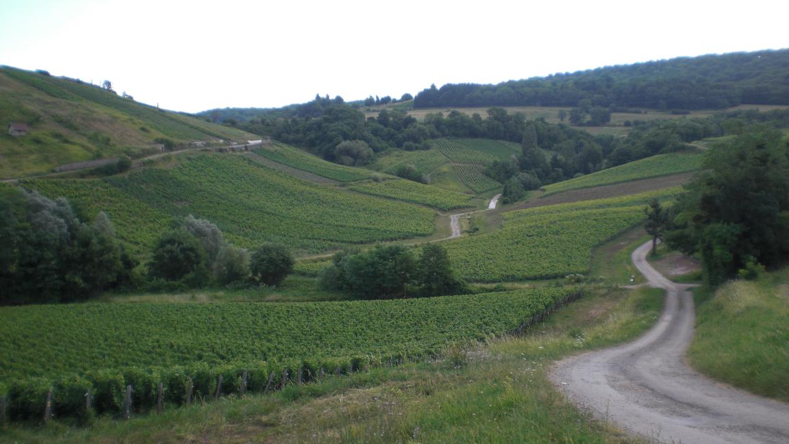 Paisage presso Pupillin, Arbois, Jura, Francia