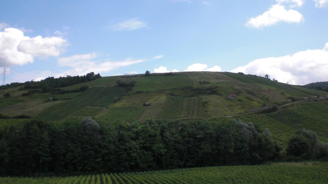 Paisage presso Pupillin, Arbois, Jura, Francia