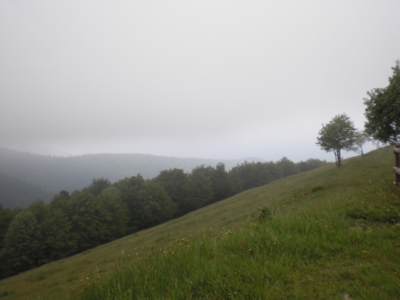 Le Markstein, Vosges, France